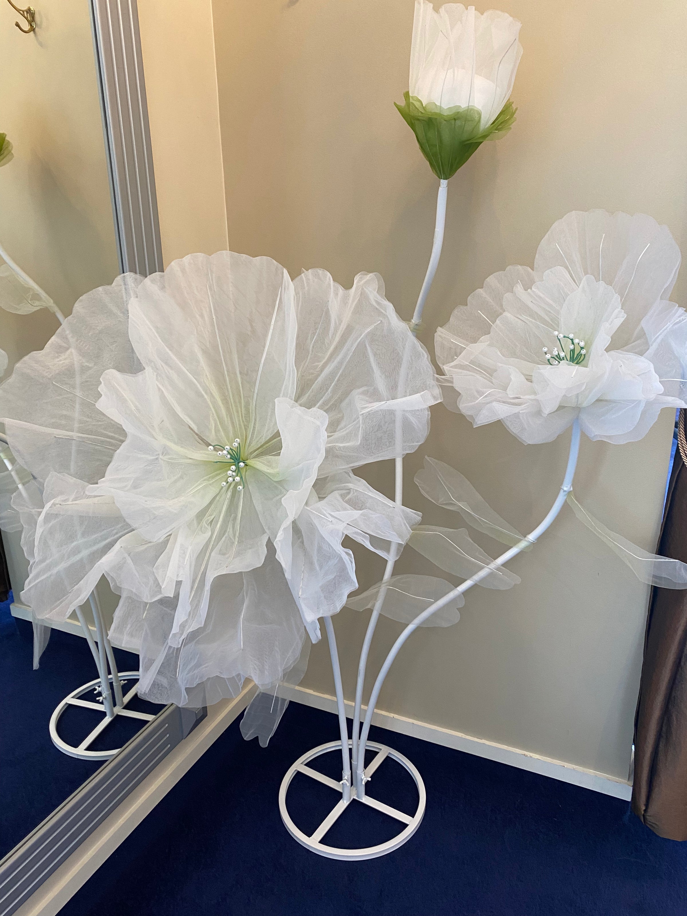 Giant Poppy - White