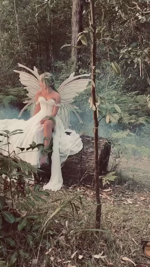 Eclipse Fairy Wings